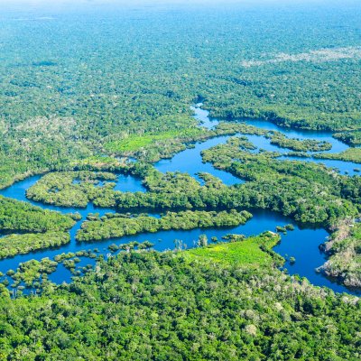 The Amazon rain forest from the air.